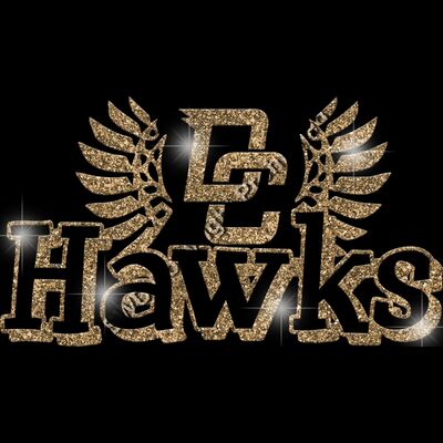 GLT17 GOLD GLITTER Thumbnail